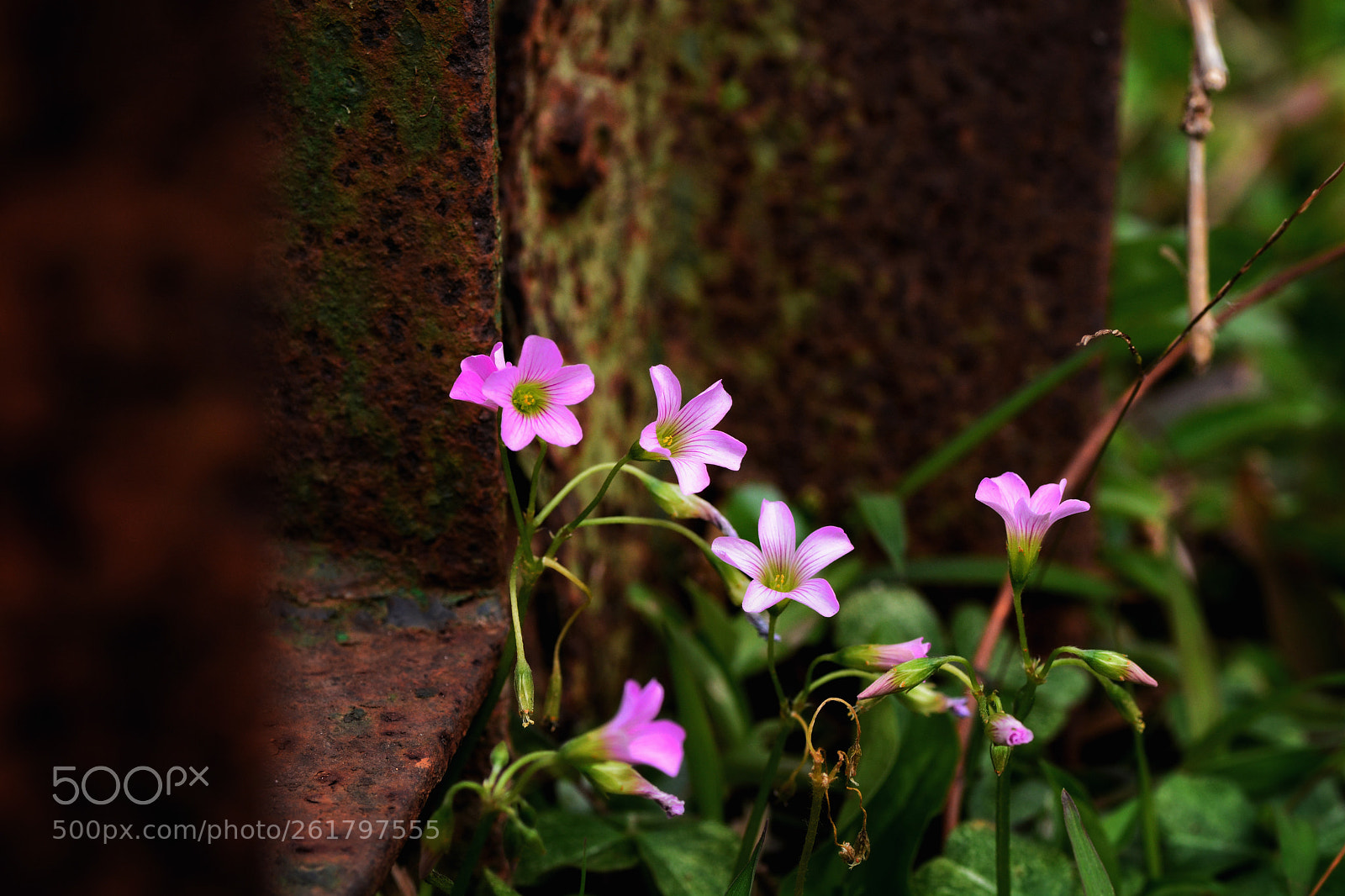 Nikon D7100 sample photo. Untitled photography