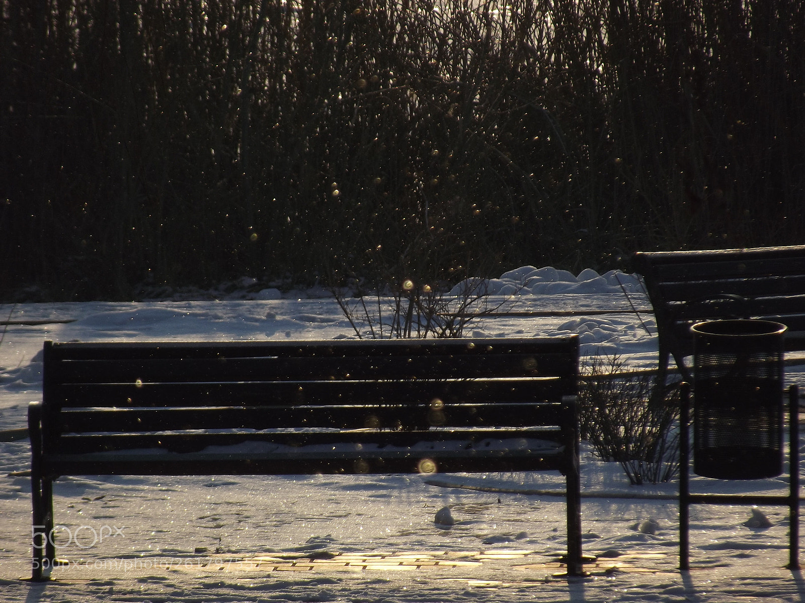Fujifilm FinePix S2980 sample photo. Untitled photography