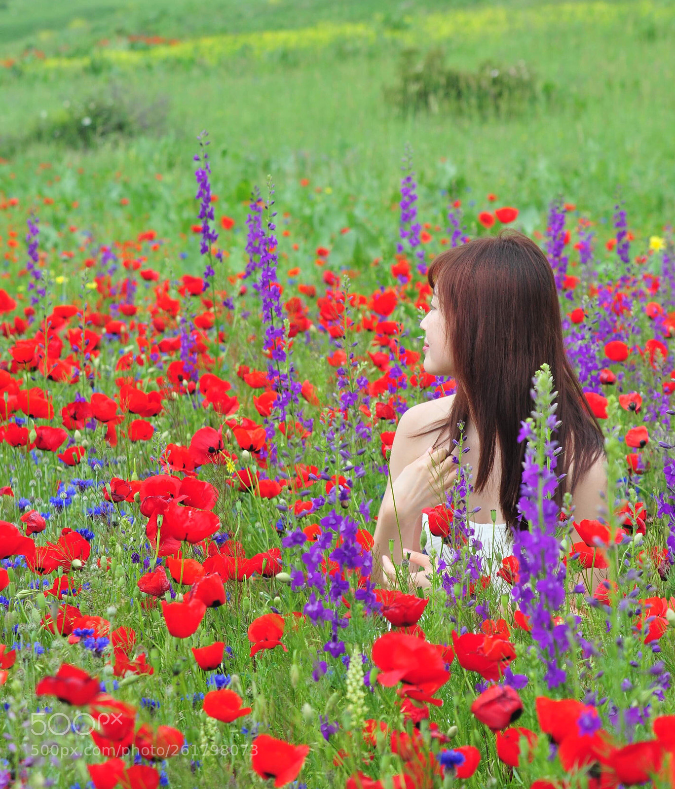 Nikon D300 sample photo. Girl among the fields  photography