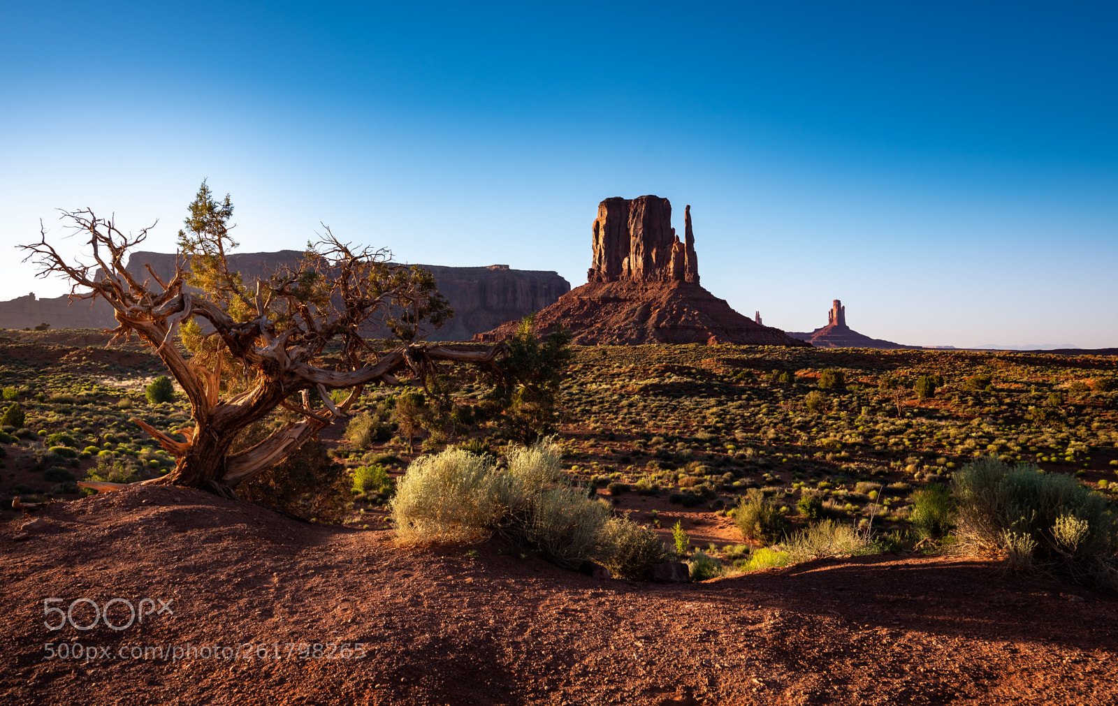 Nikon D750 sample photo. Monument valley photography
