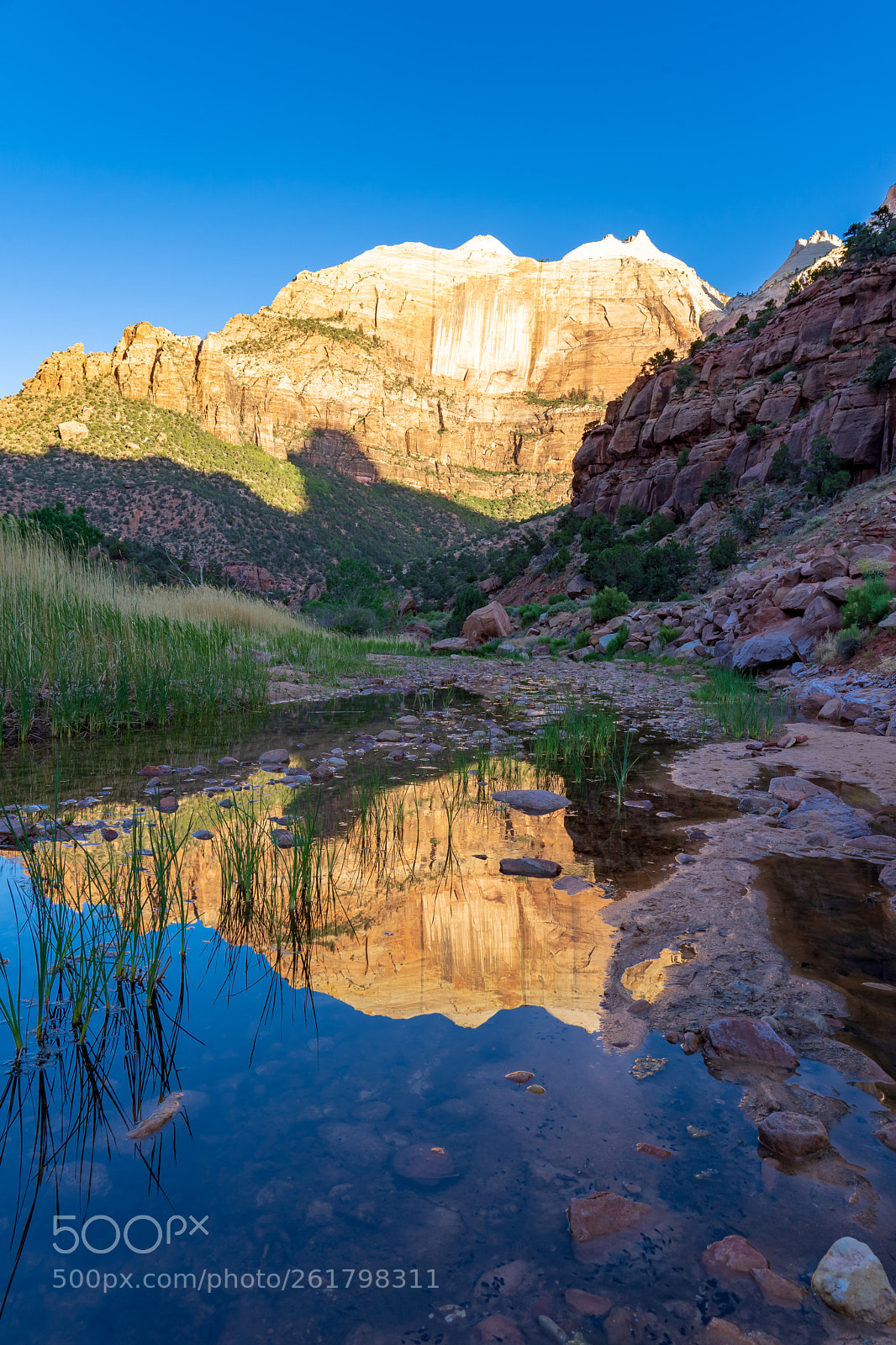 Sony a7 III sample photo. Zion national park photography