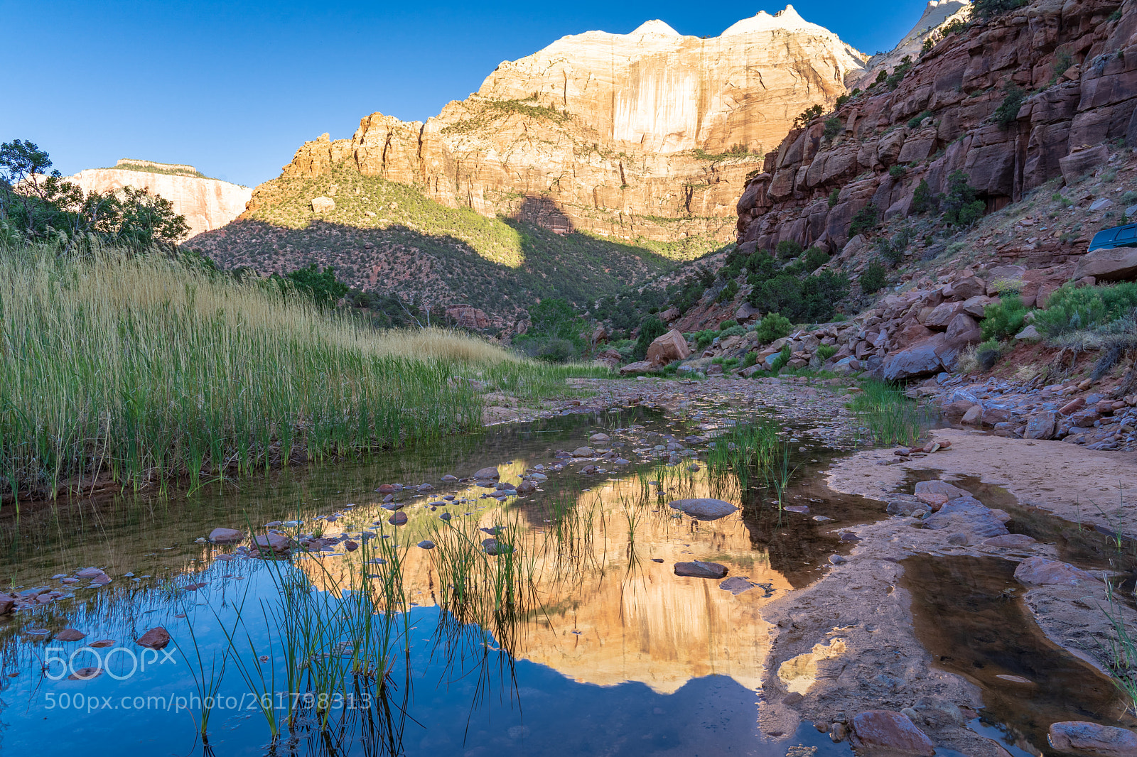 Sony a7 III sample photo. Zion national park photography