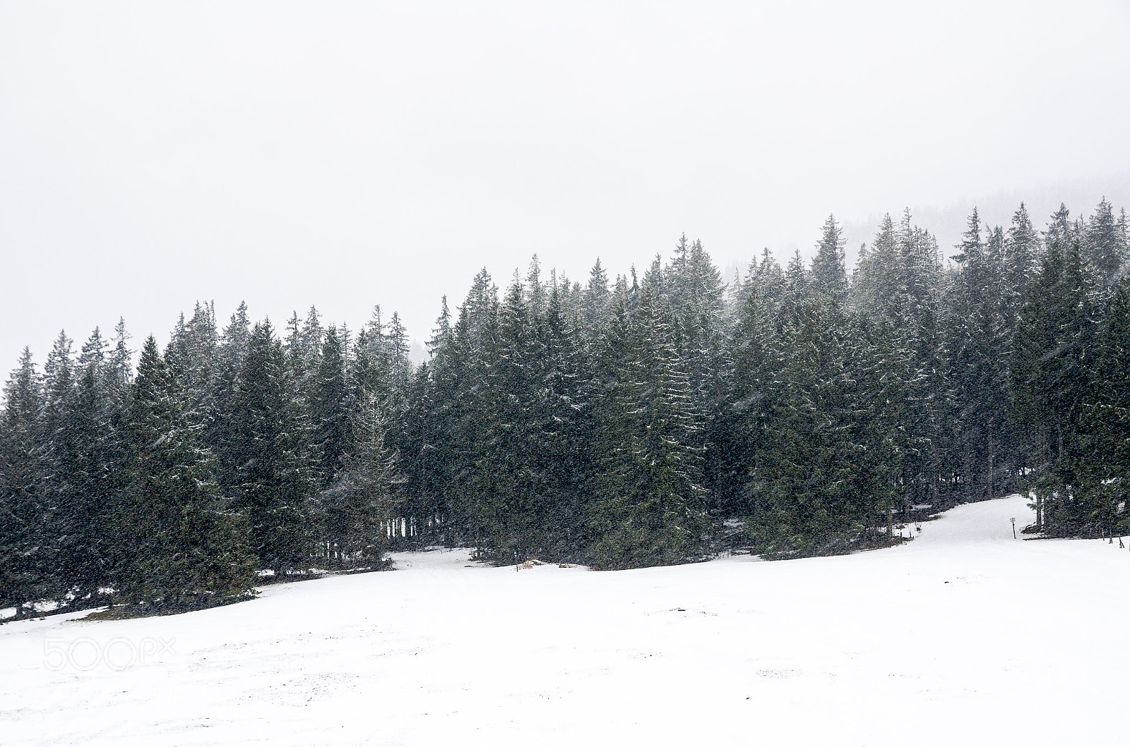 Nikon D7000 sample photo. Massif des vosges photography