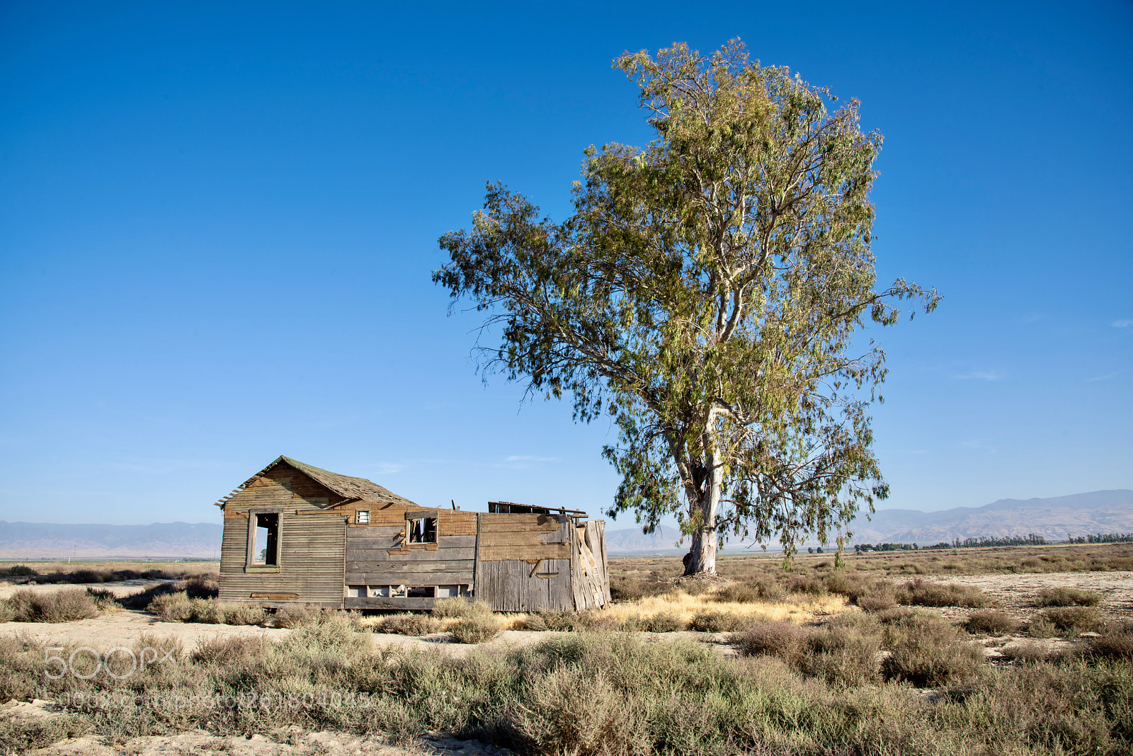Nikon D810 sample photo. Abandoned house in arvin photography