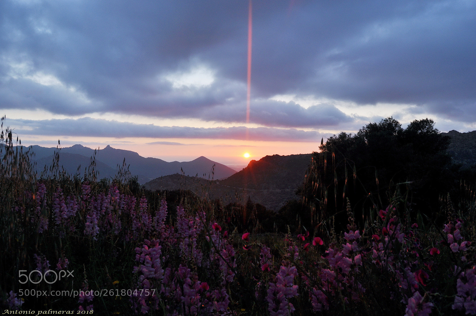 Nikon D90 sample photo. Atardecer ii photography
