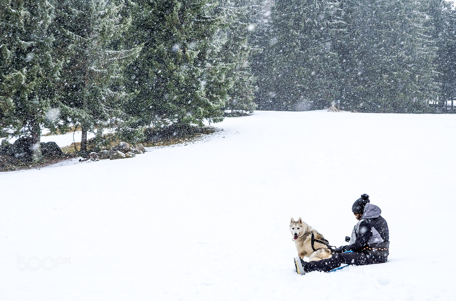 Nikon D7000 sample photo. Massif des vosges photography