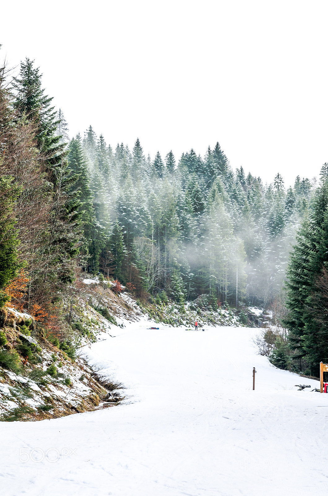 Nikon D7000 sample photo. Massif des vosges photography