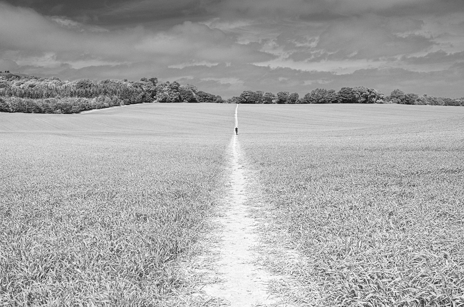 Leica X2 sample photo. Hot dry path photography