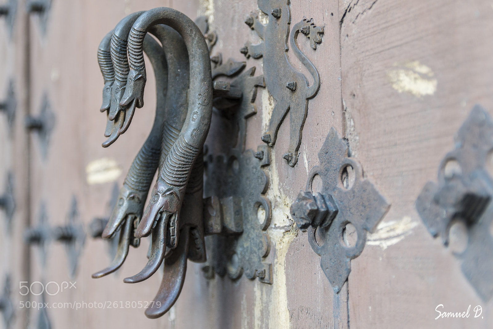 Nikon D500 sample photo. Doornocker photography