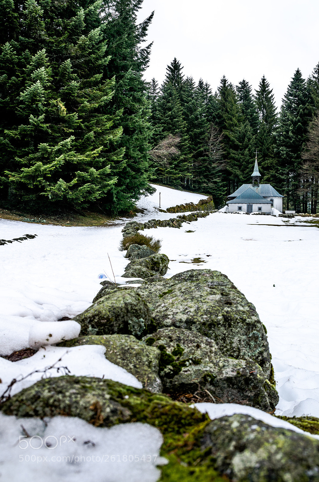 Nikon D7000 sample photo. Massif des vosges photography