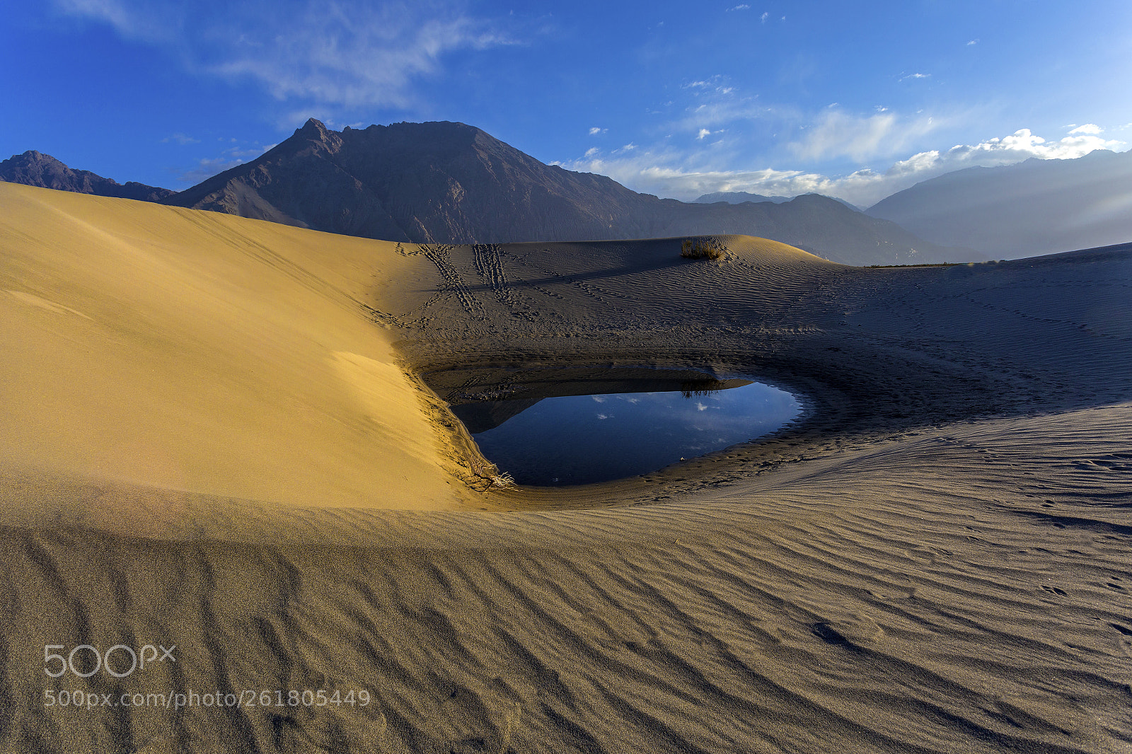 Canon EOS 6D sample photo. Among the sand dunes photography