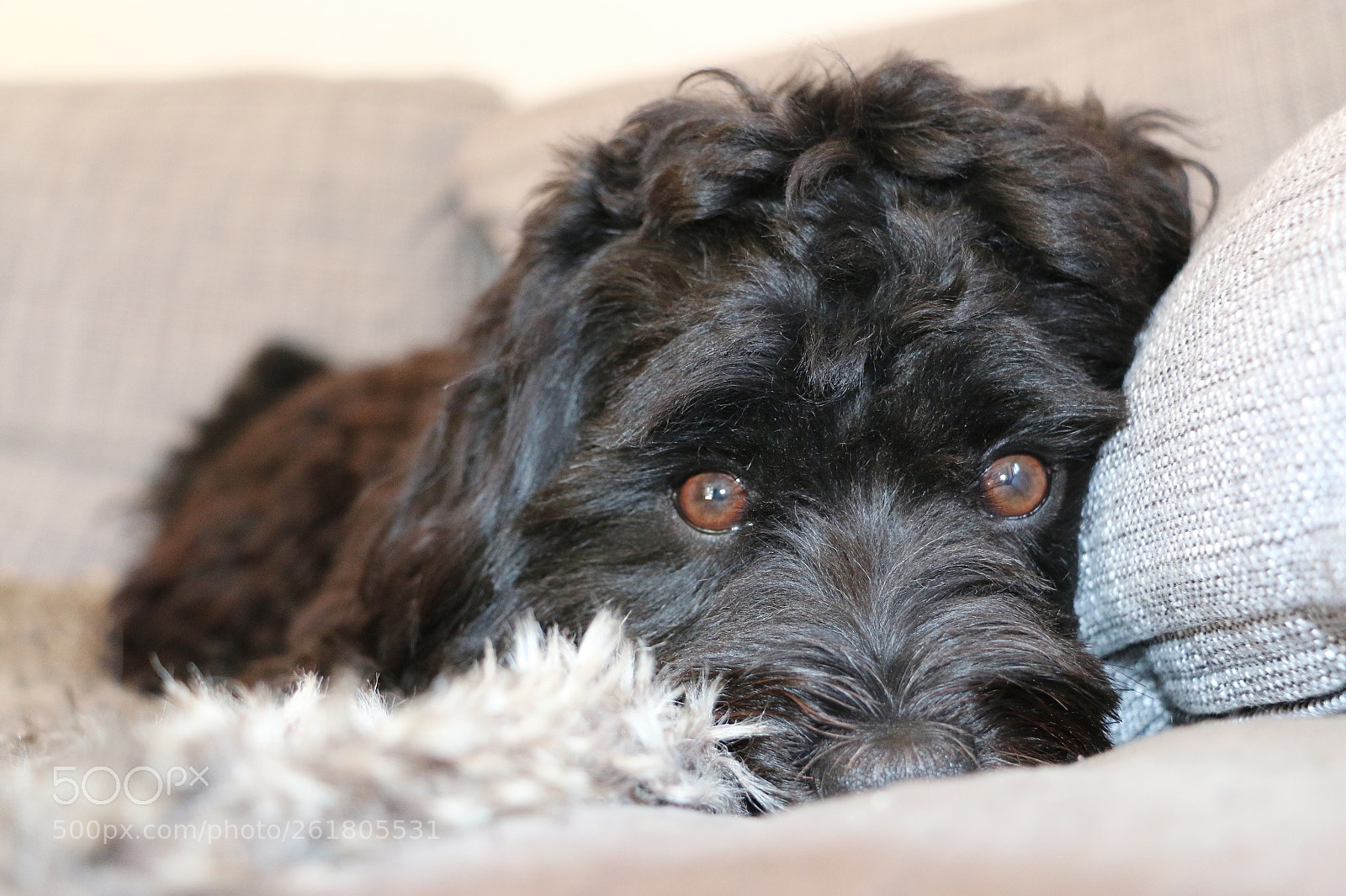 Canon EOS 70D sample photo. Sam  photography