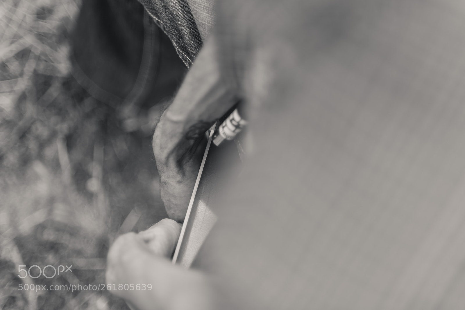 Nikon D750 sample photo. Oveja mixta photography