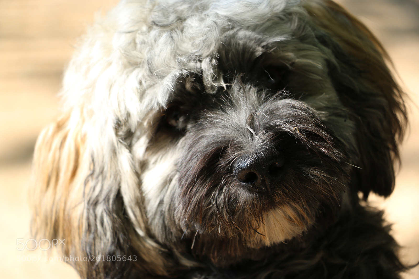Canon EOS 70D sample photo. Sweet rocky photography