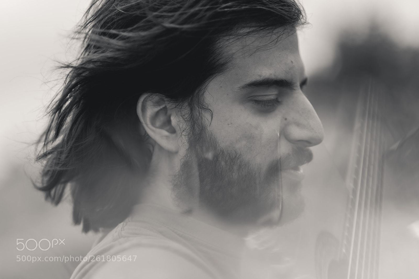 Nikon D750 sample photo. Oveja mixta photography
