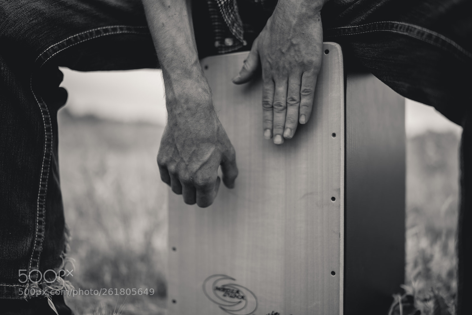 Nikon D750 sample photo. Oveja mixta photography