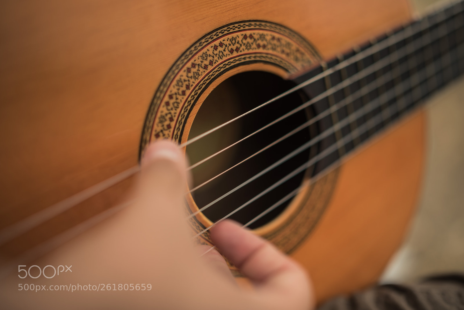 Nikon D750 sample photo. Oveja mixta photography