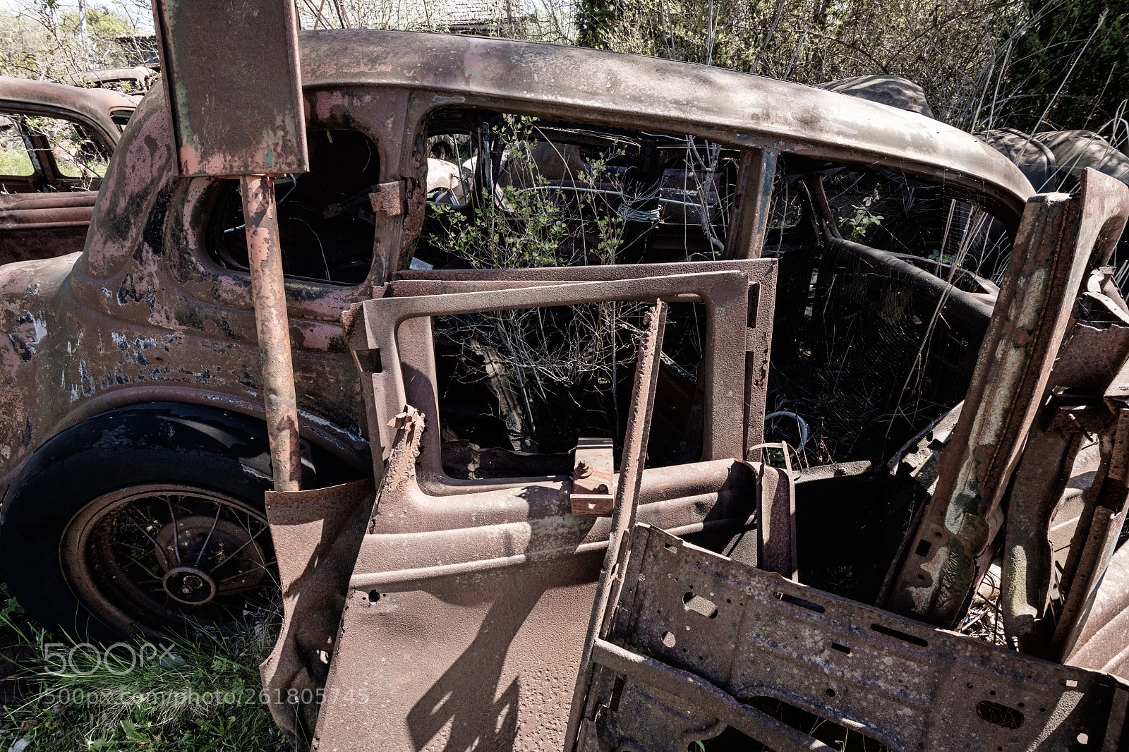 Nikon D850 sample photo. Vintage automobile photography