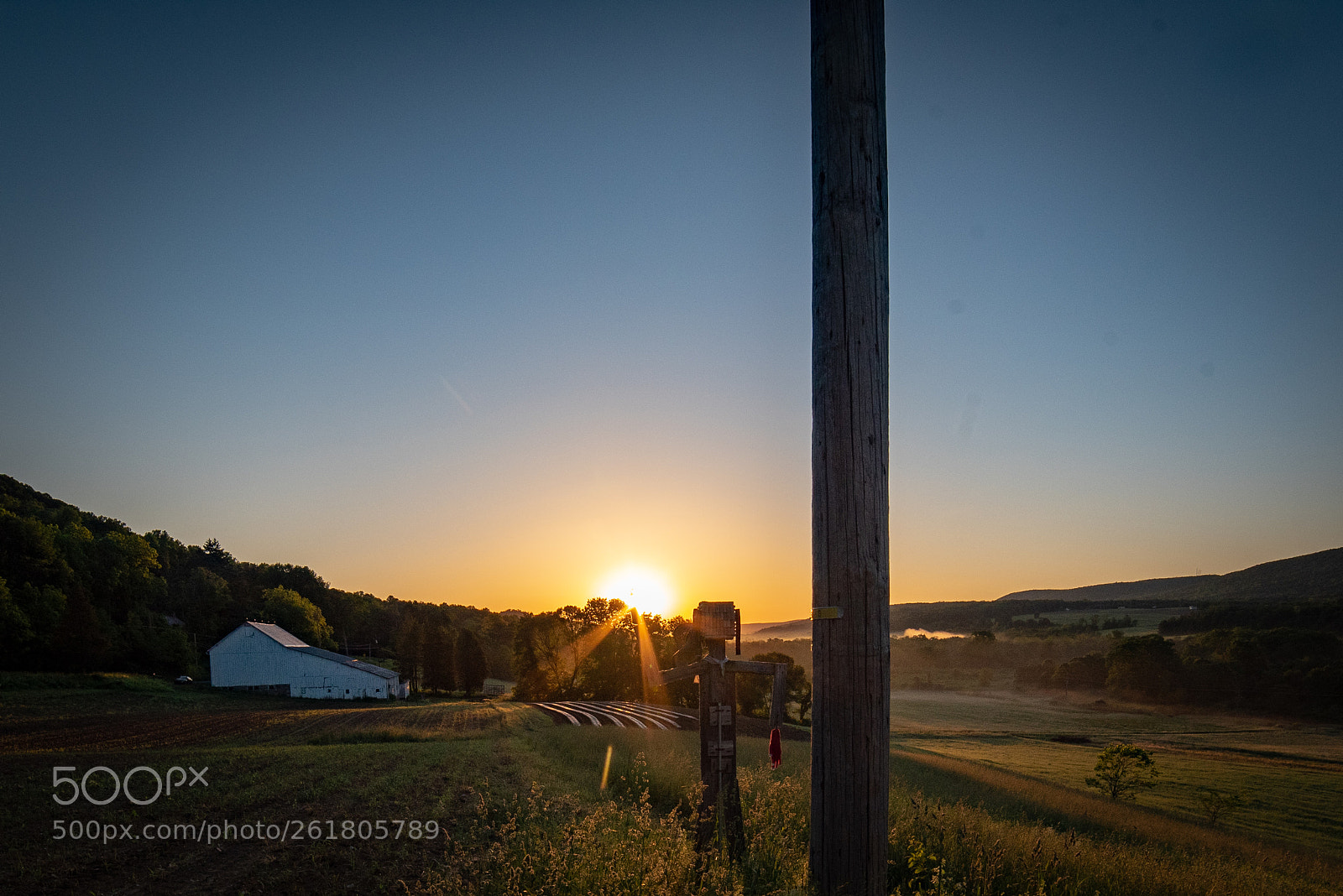 Nikon D750 sample photo. Untitled photography