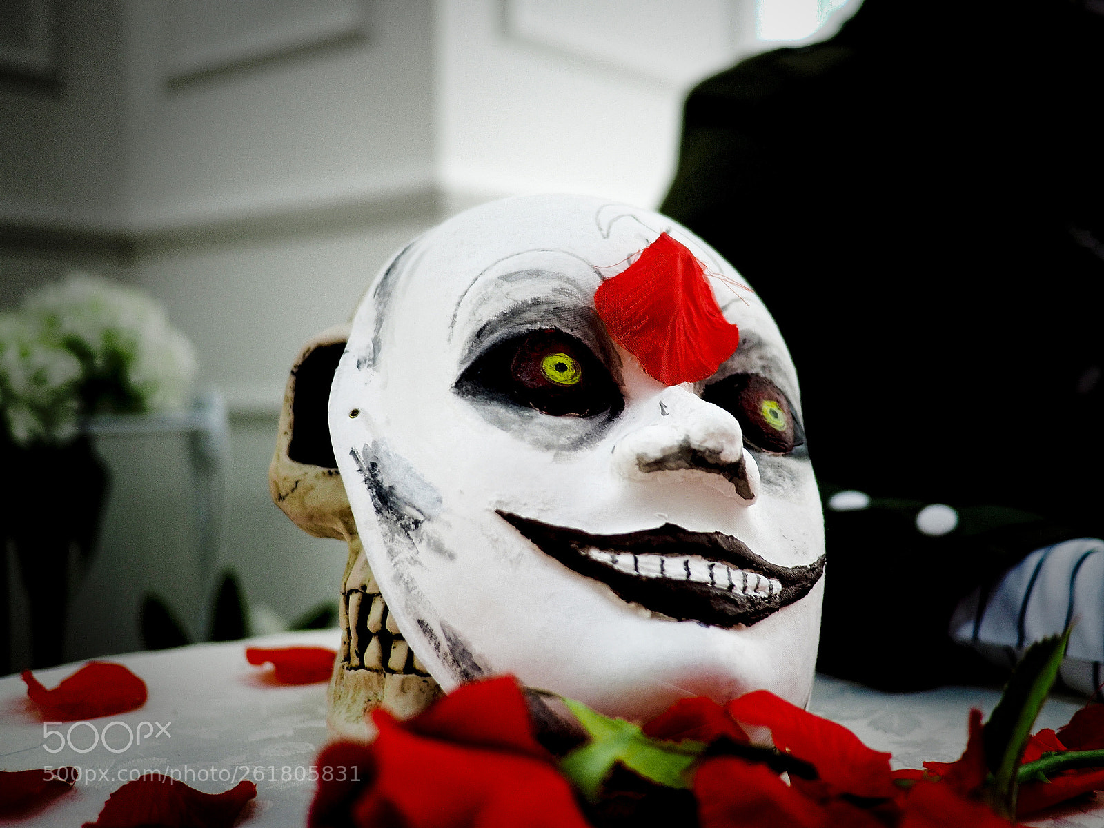Olympus OM-D E-M5 II sample photo. Dangan ronpa vanitas photography