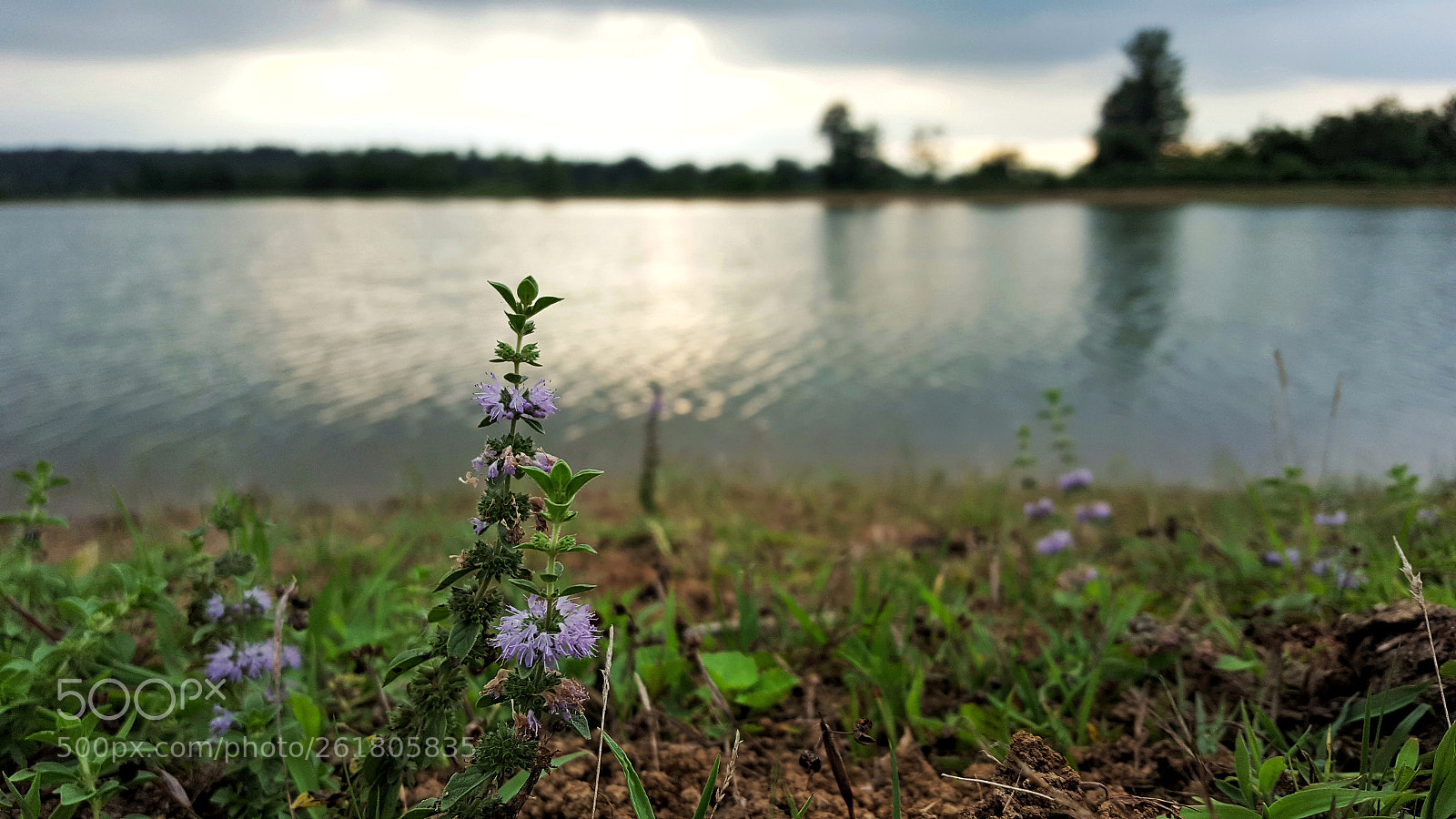 Samsung Galaxy S6 sample photo. Lake photography