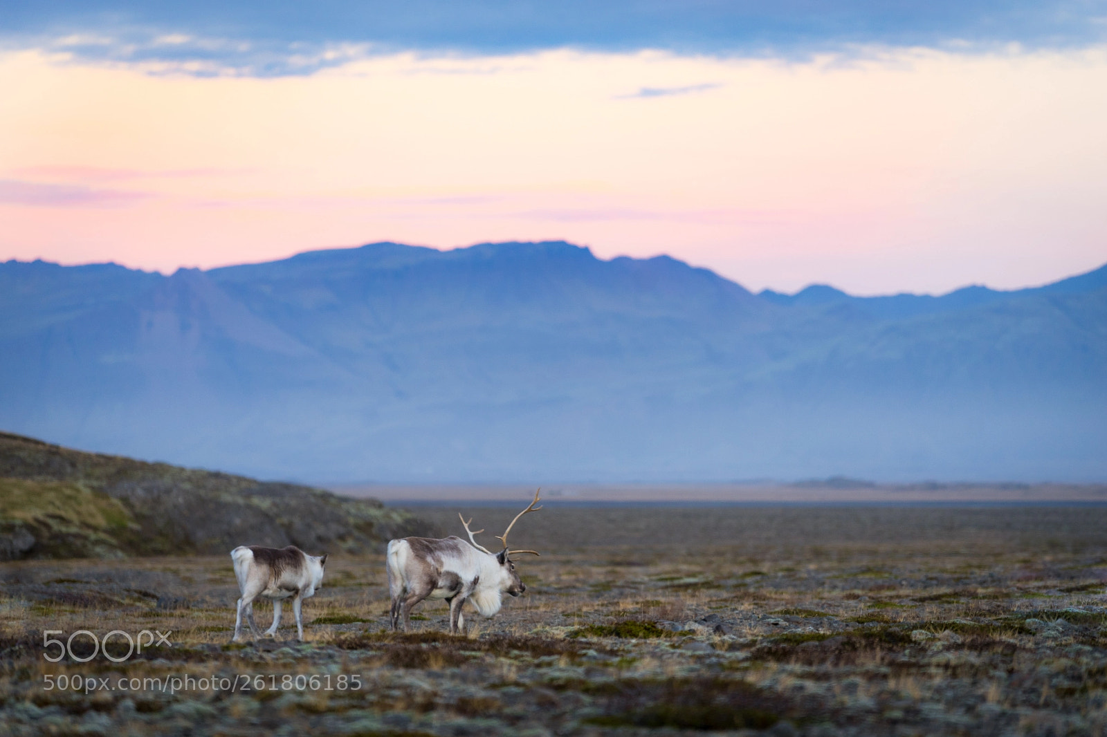 Sony a7 II sample photo. A chance encounter photography
