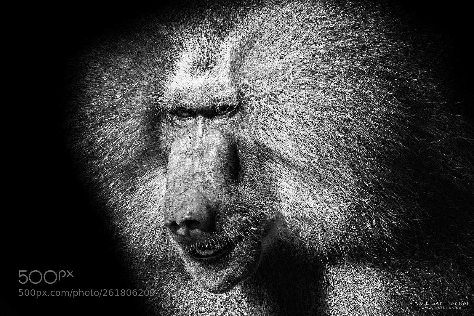 Nikon D7100 sample photo. Primal photography