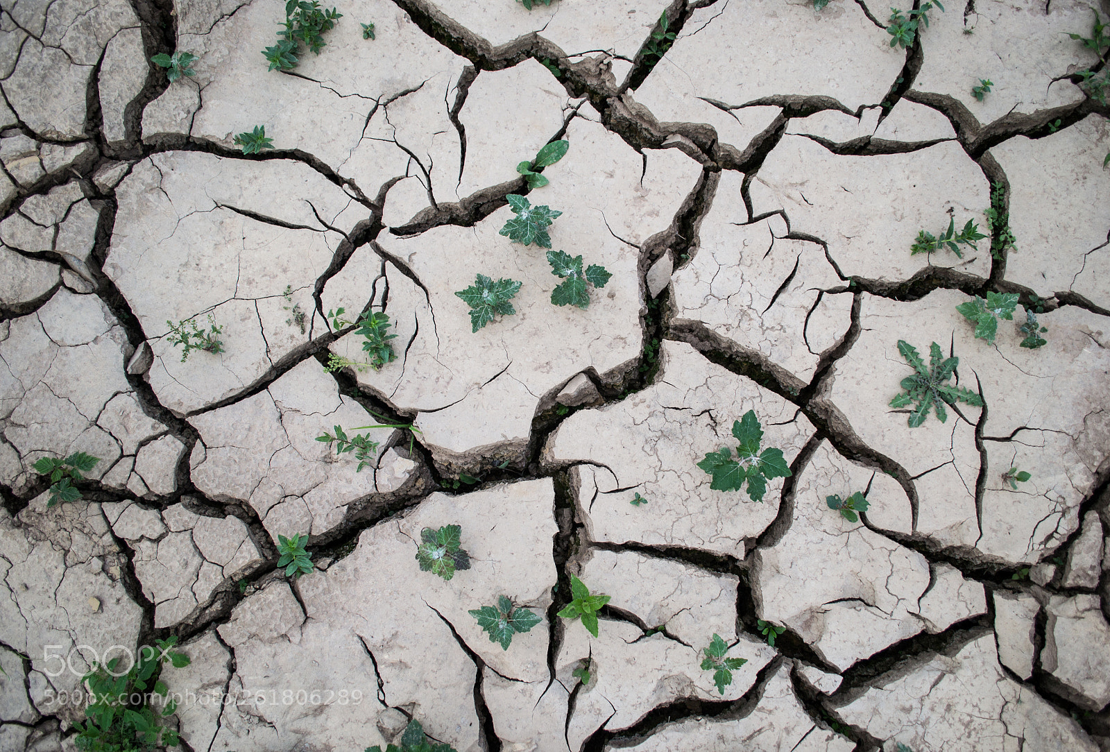 Nikon D3100 sample photo. Dry riverbed photography