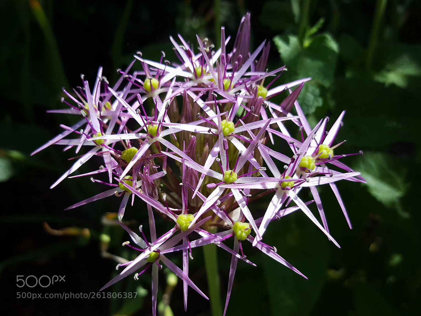 Samsung Galaxy S6 sample photo. Untitled photography