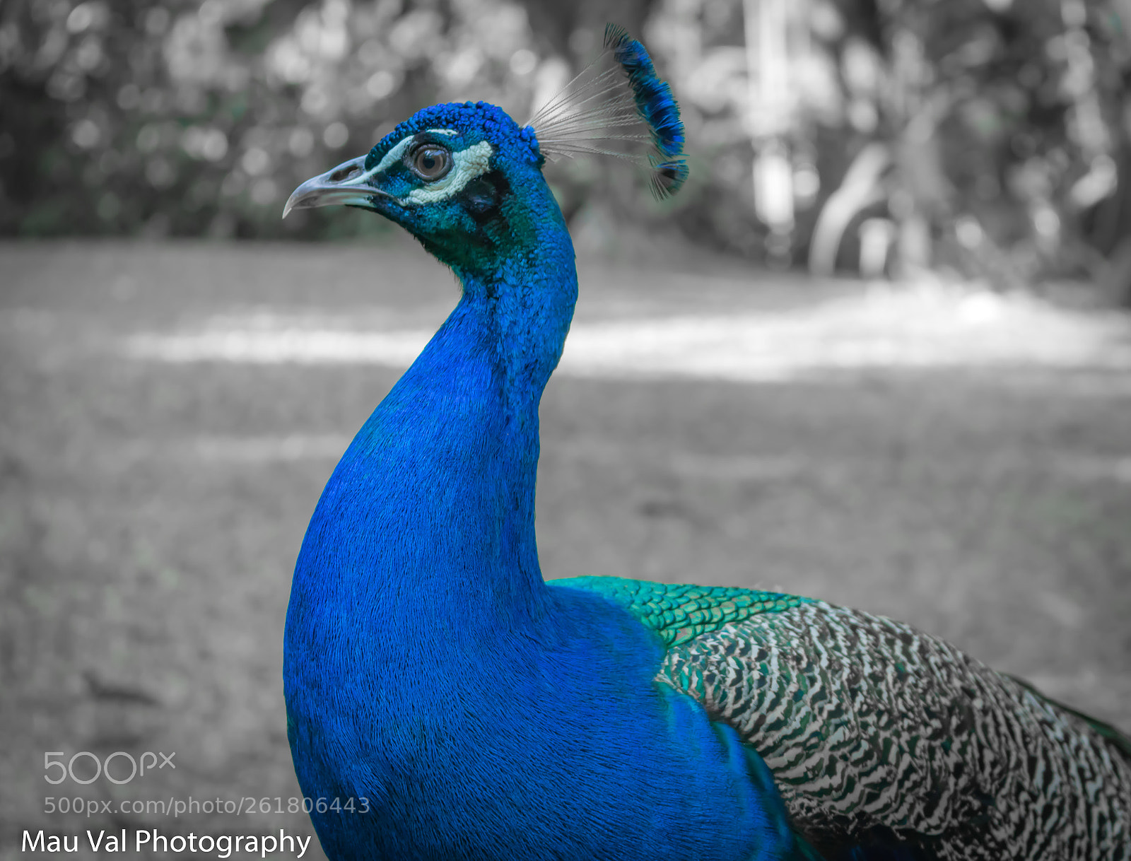 Canon EOS 760D (EOS Rebel T6s / EOS 8000D) sample photo. Princess photography