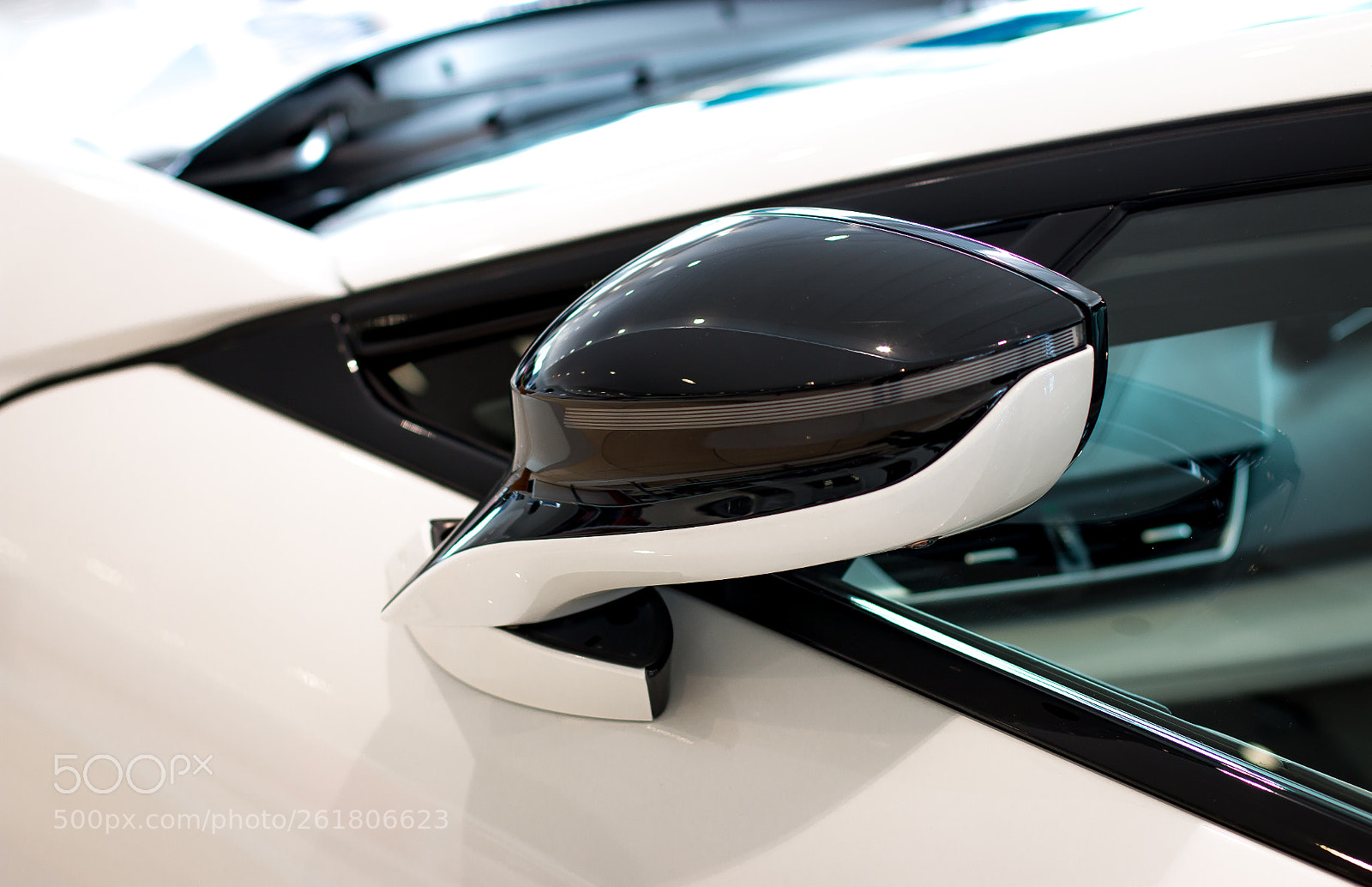 Canon EOS 70D sample photo. A wing mirror photography
