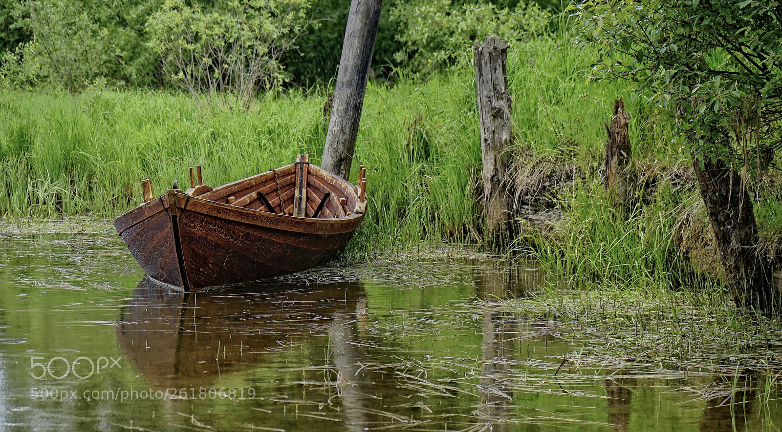 Sony a7 II sample photo. The green photography