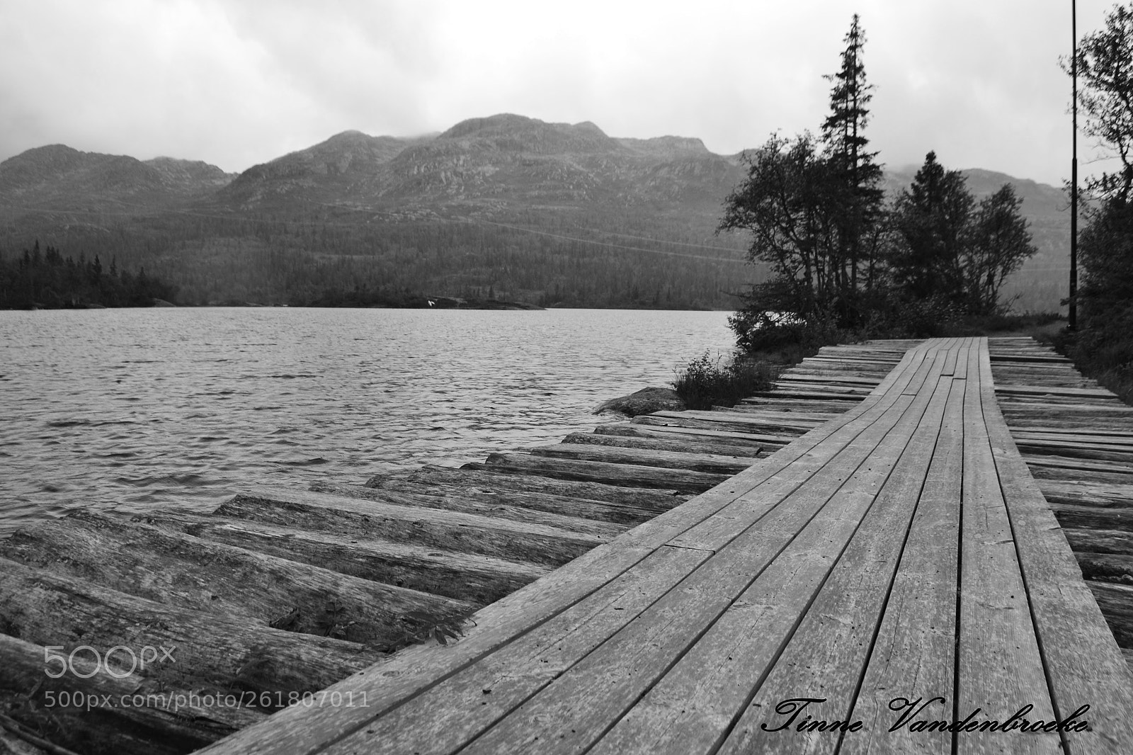 Nikon D3100 sample photo. Black and white lake photography
