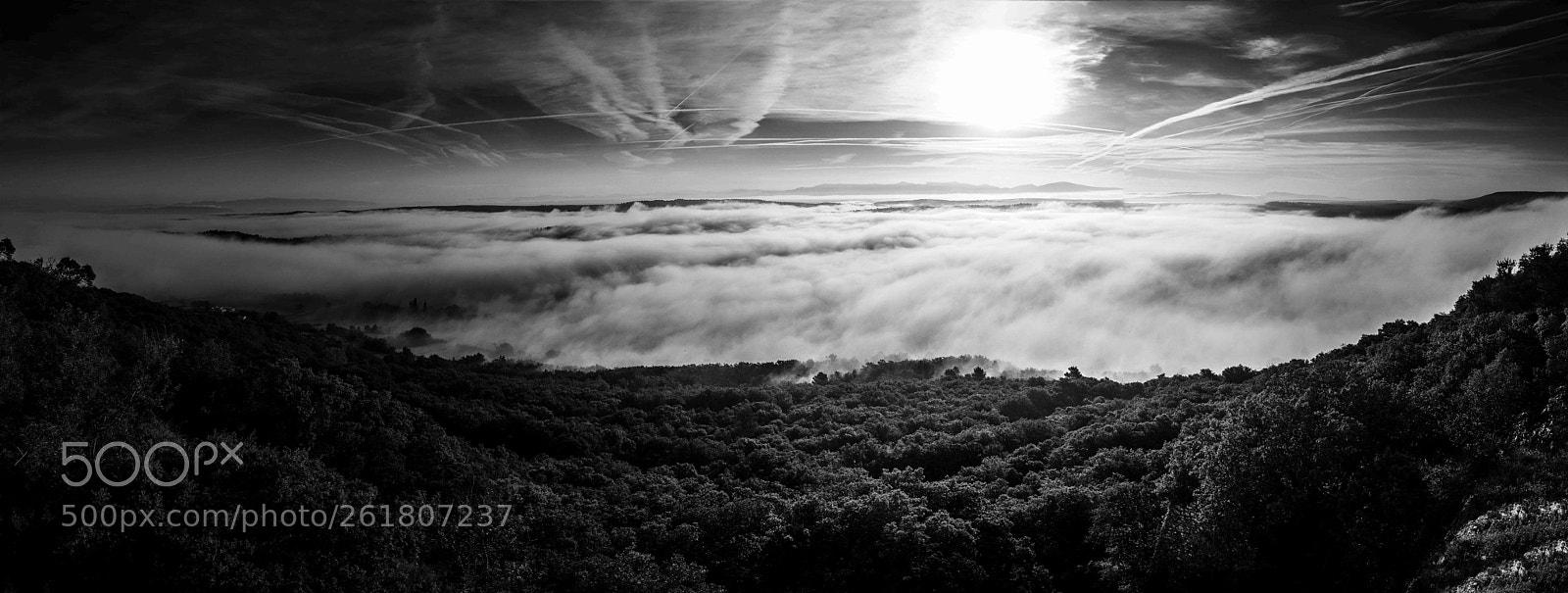 Canon EOS 600D (Rebel EOS T3i / EOS Kiss X5) sample photo. Mist on sunrise photography