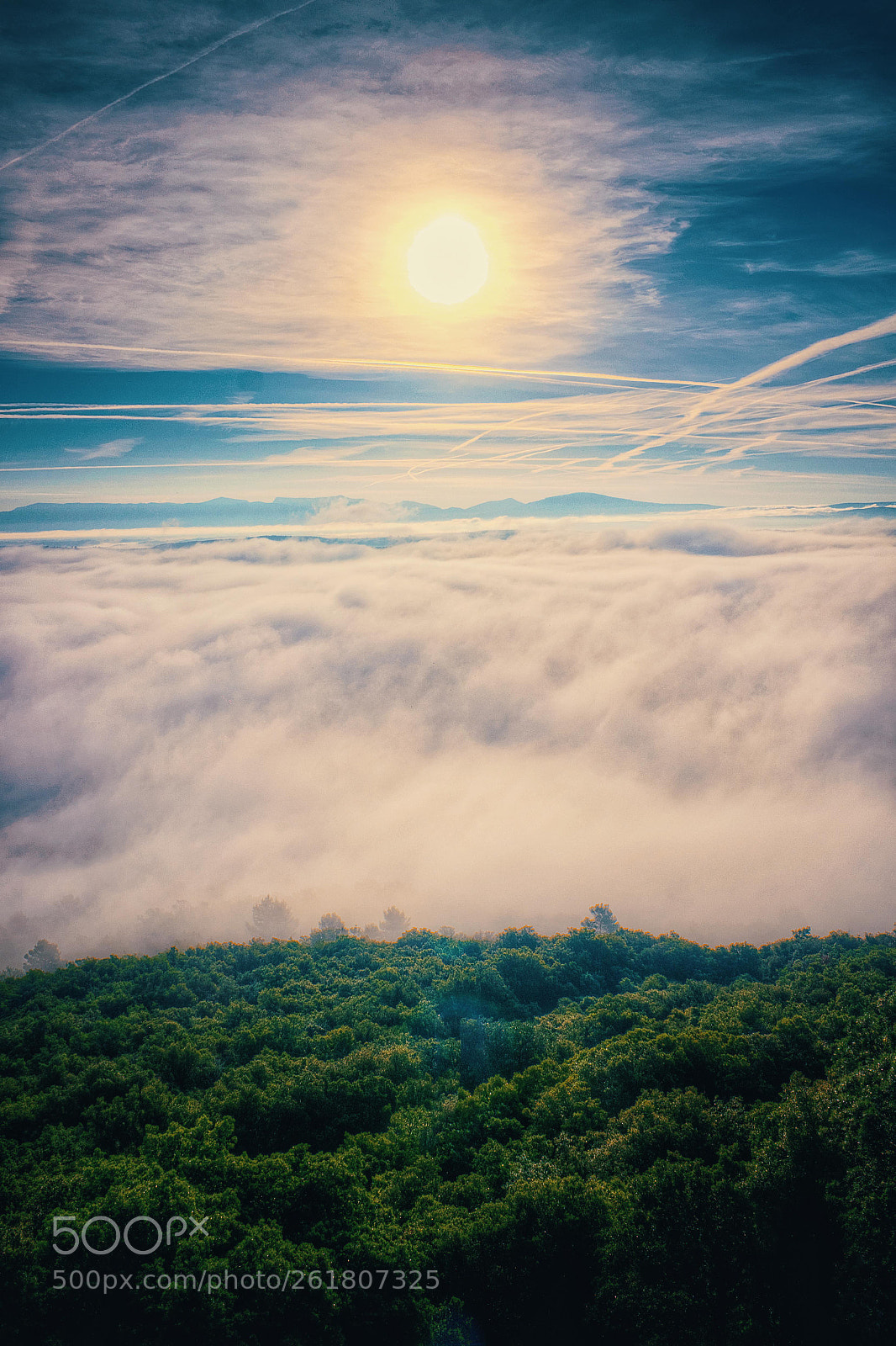 Canon EOS 600D (Rebel EOS T3i / EOS Kiss X5) sample photo. Mist on sunrise photography