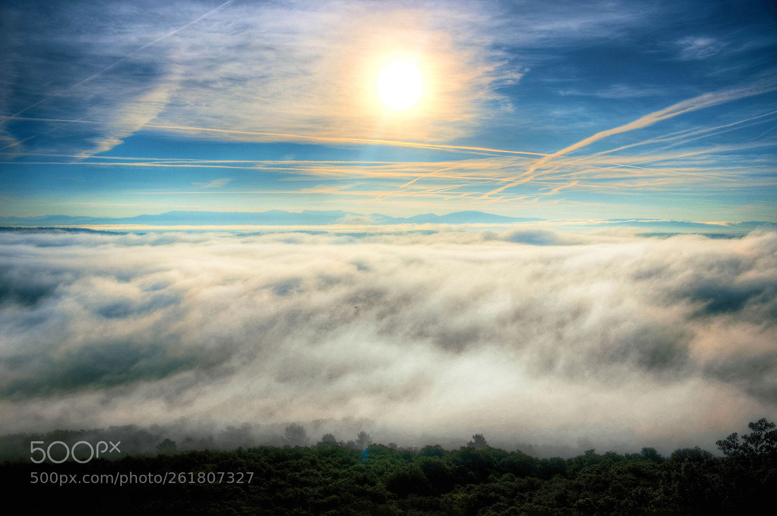 Canon EOS 600D (Rebel EOS T3i / EOS Kiss X5) sample photo. Mist on sunrise photography