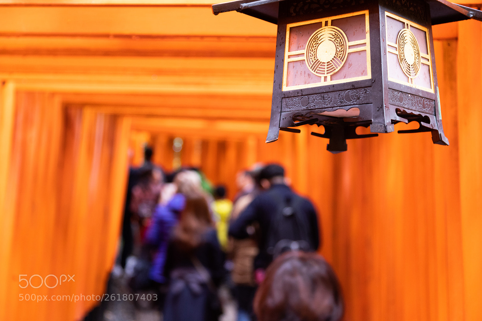 Canon EOS 6D Mark II sample photo. 伏見稲荷の鳥居と灯籠 photography