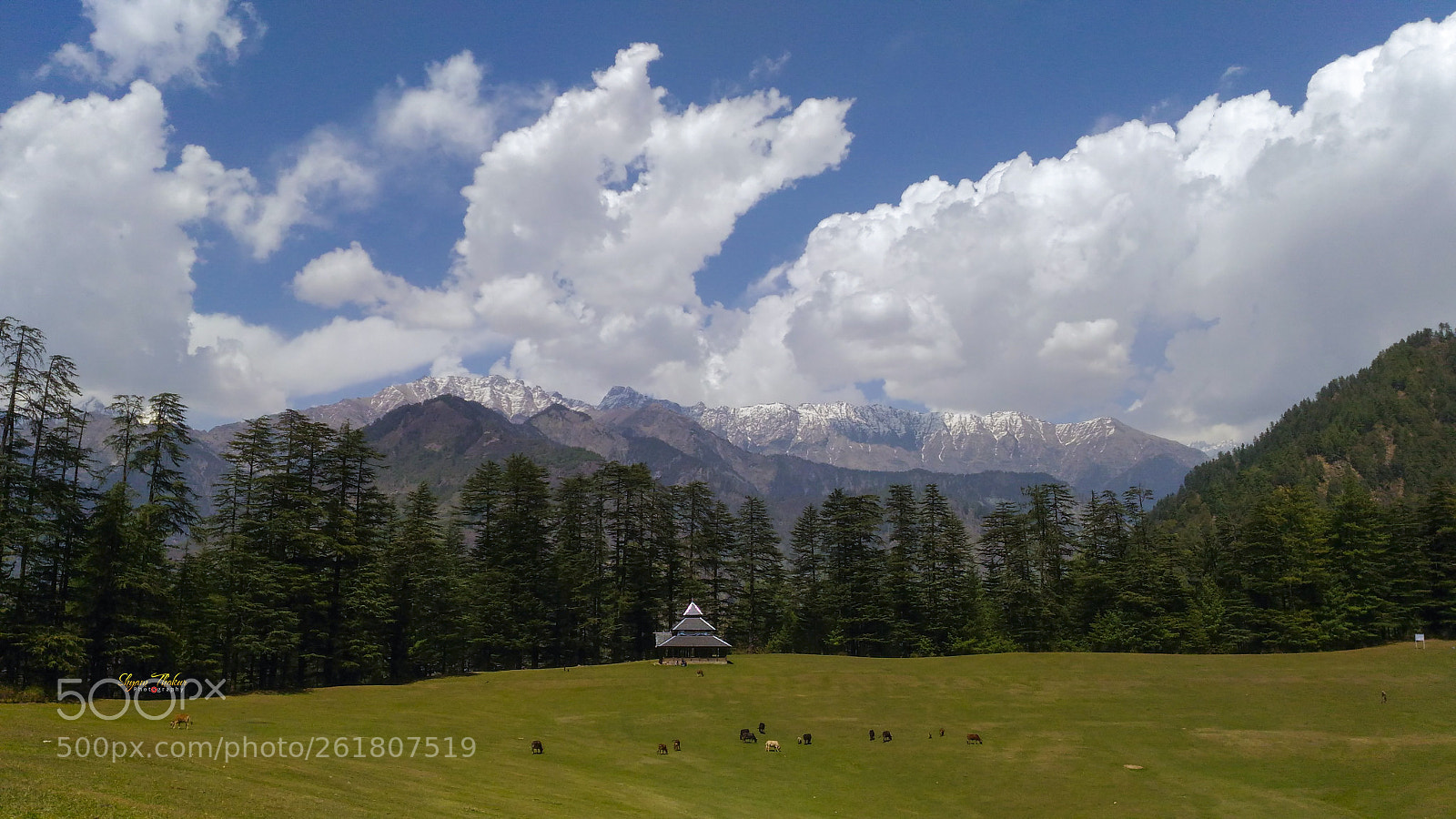 ASUS ZenFone Max (ZC550KL) sample photo. Incredible himachal (shanghar) photography