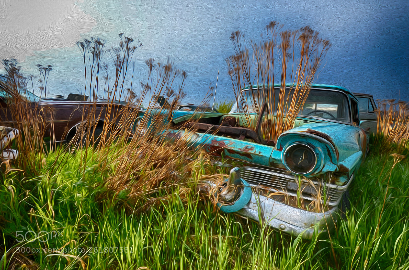 Nikon D7000 sample photo. Meaner than a junkyard photography