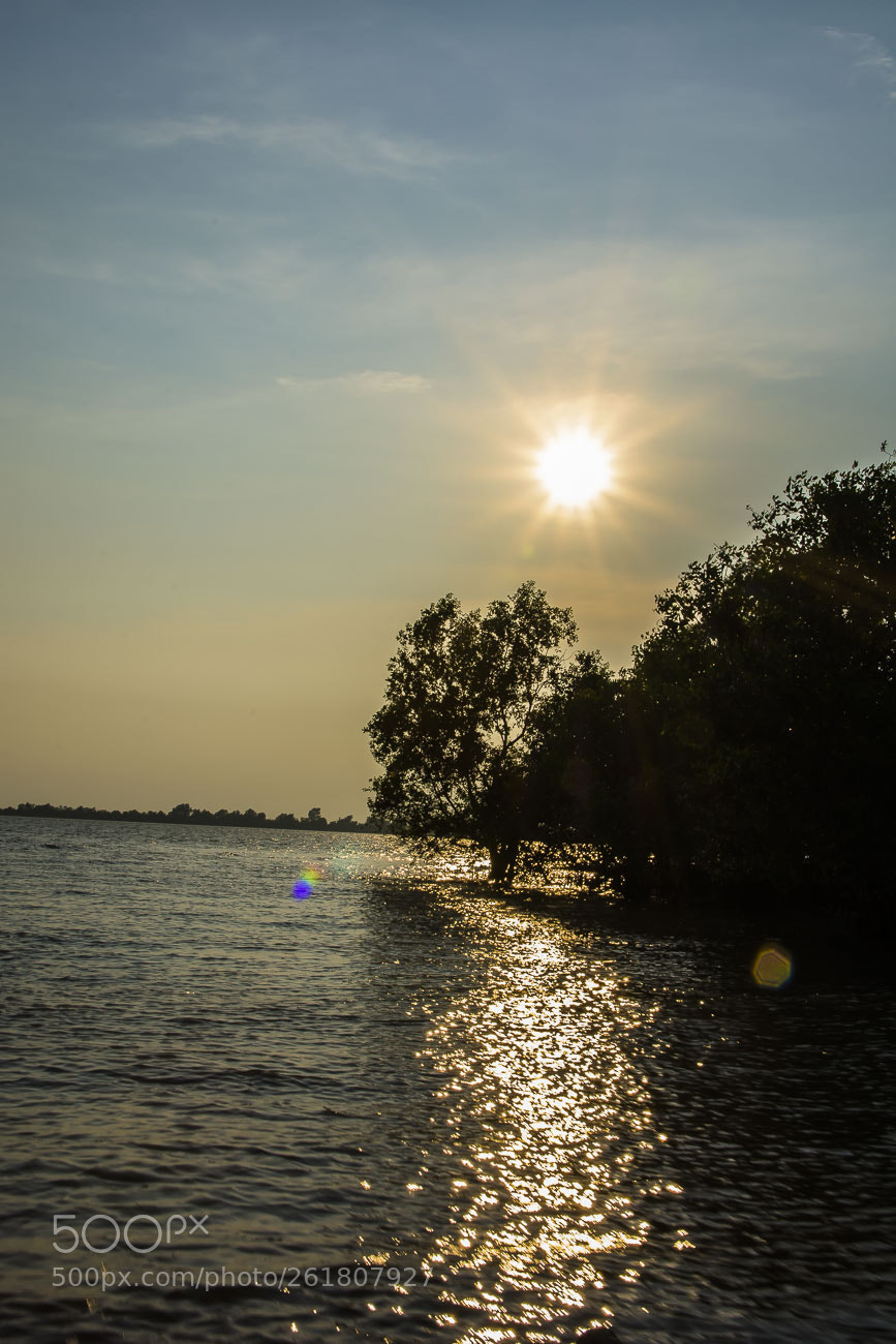 Nikon D7200 sample photo. Untitled photography