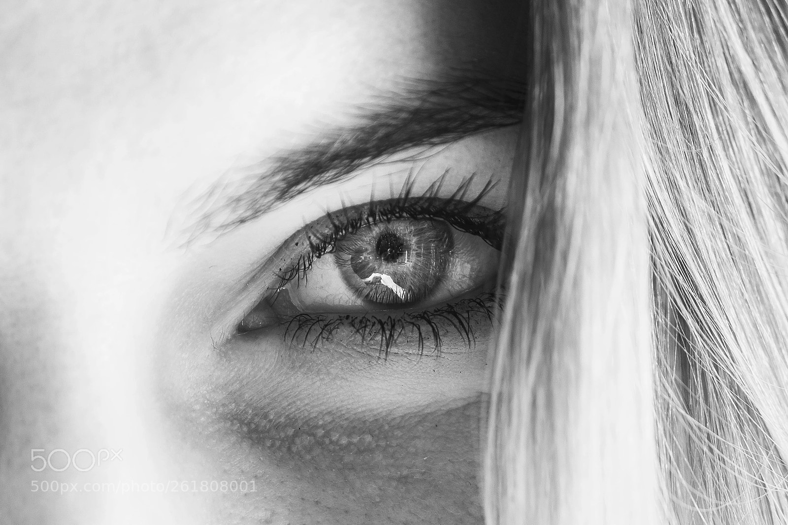 Canon EOS 600D (Rebel EOS T3i / EOS Kiss X5) sample photo. His eye photography