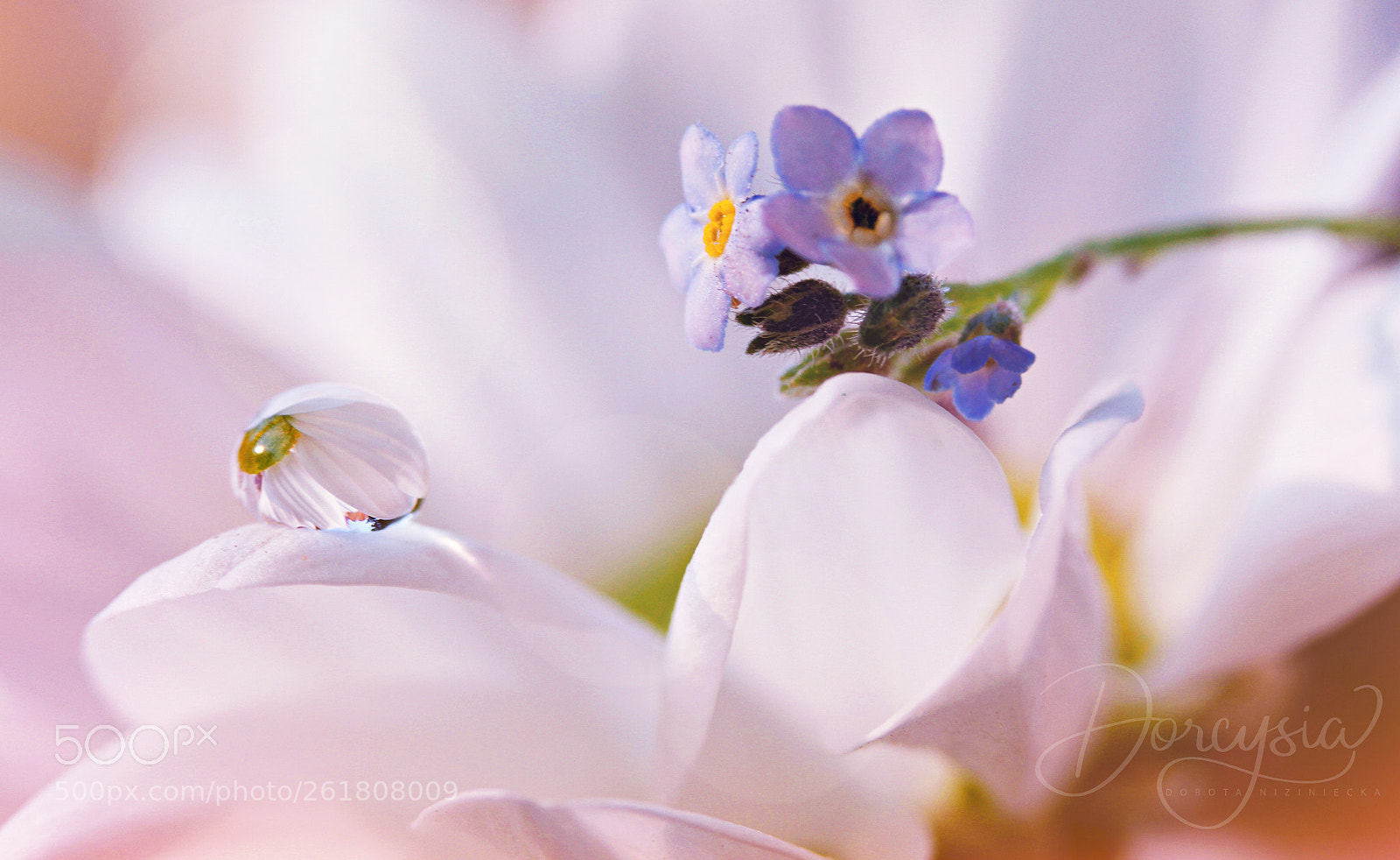 Canon EOS 7D sample photo. Unforgettable photography