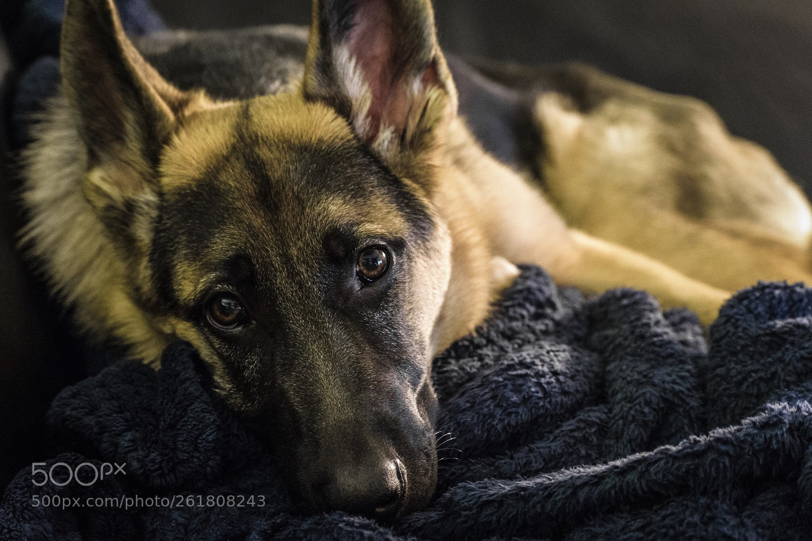 Nikon D3300 sample photo. Monday blues. photography
