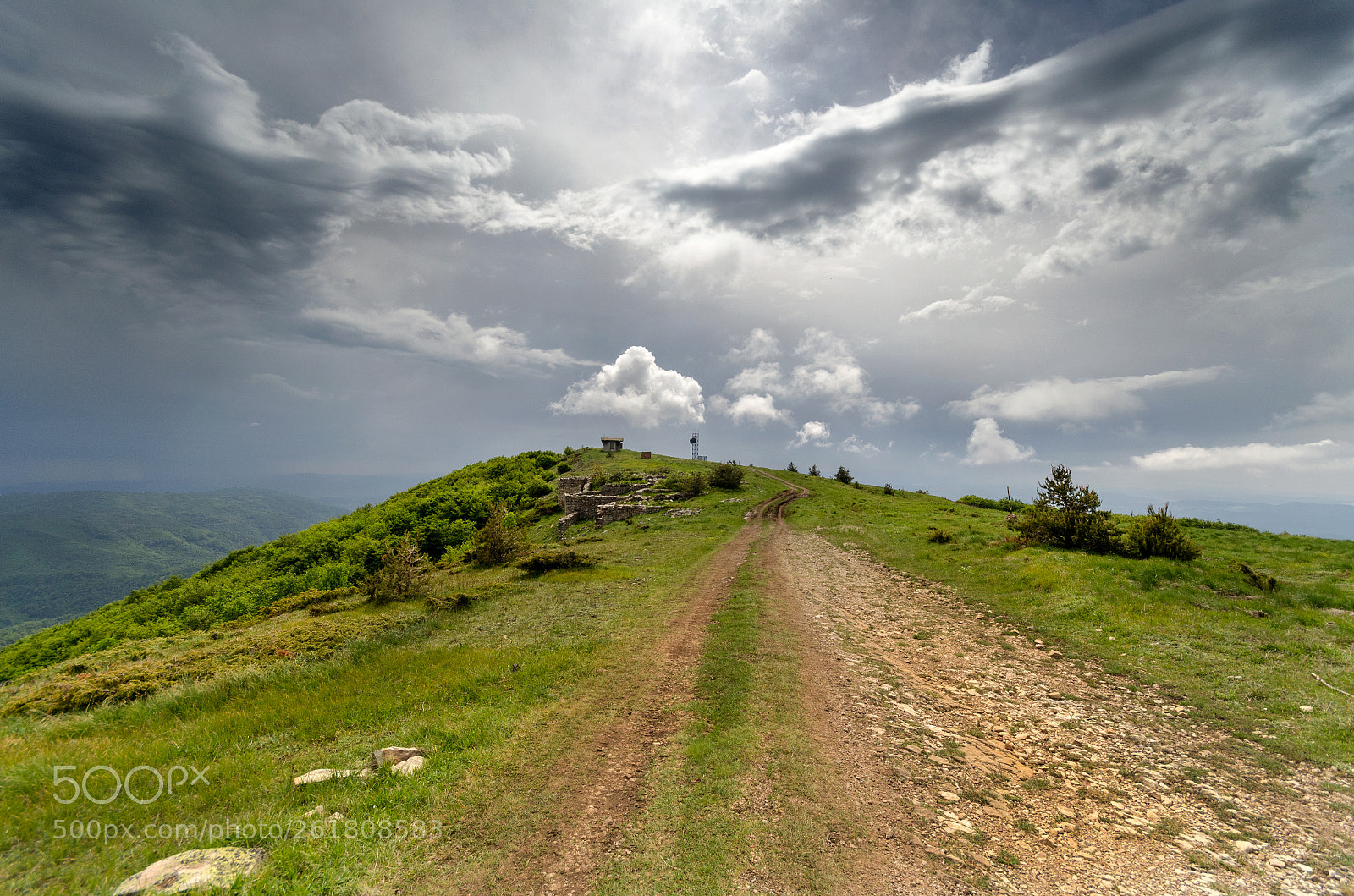 Nikon D5100 sample photo. Road photography