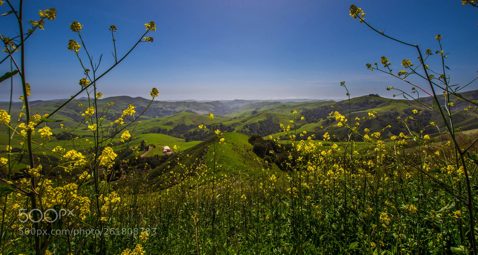 Nikon D7200 sample photo. California green photography