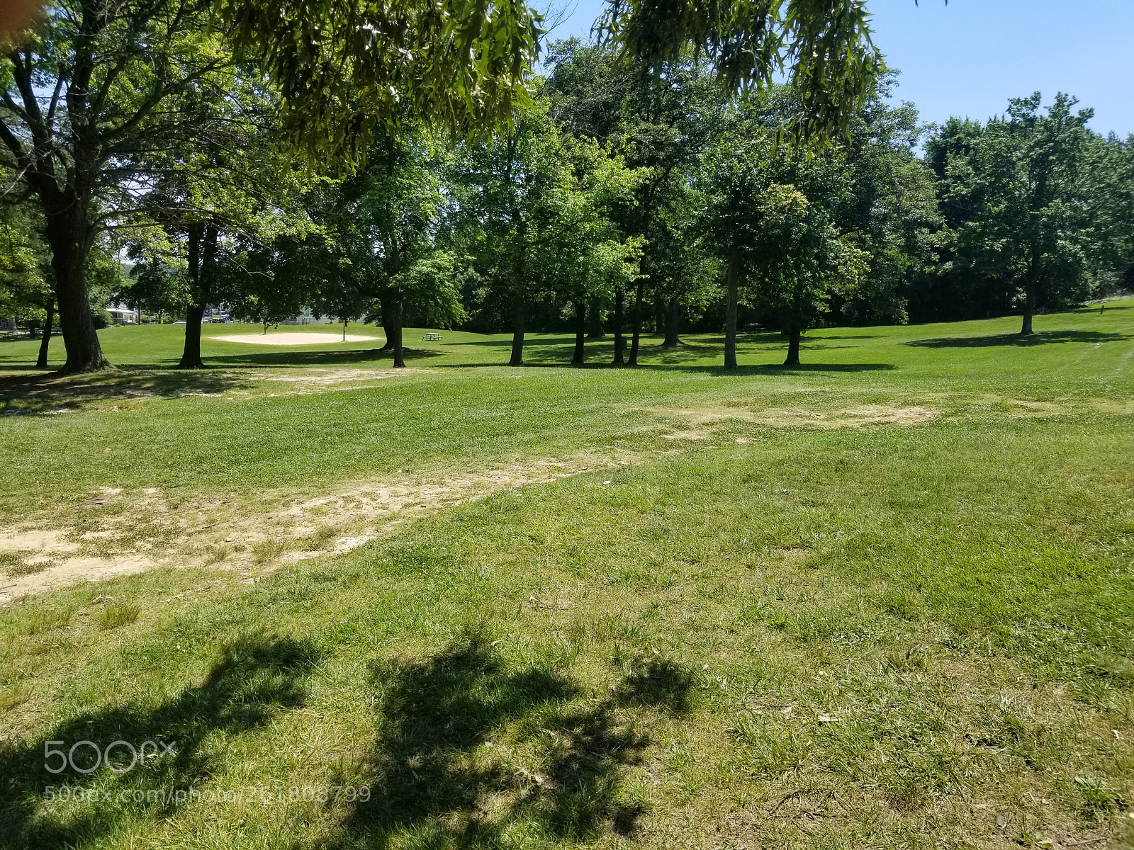 Samsung Galaxy S8+ sample photo. Park trees photography