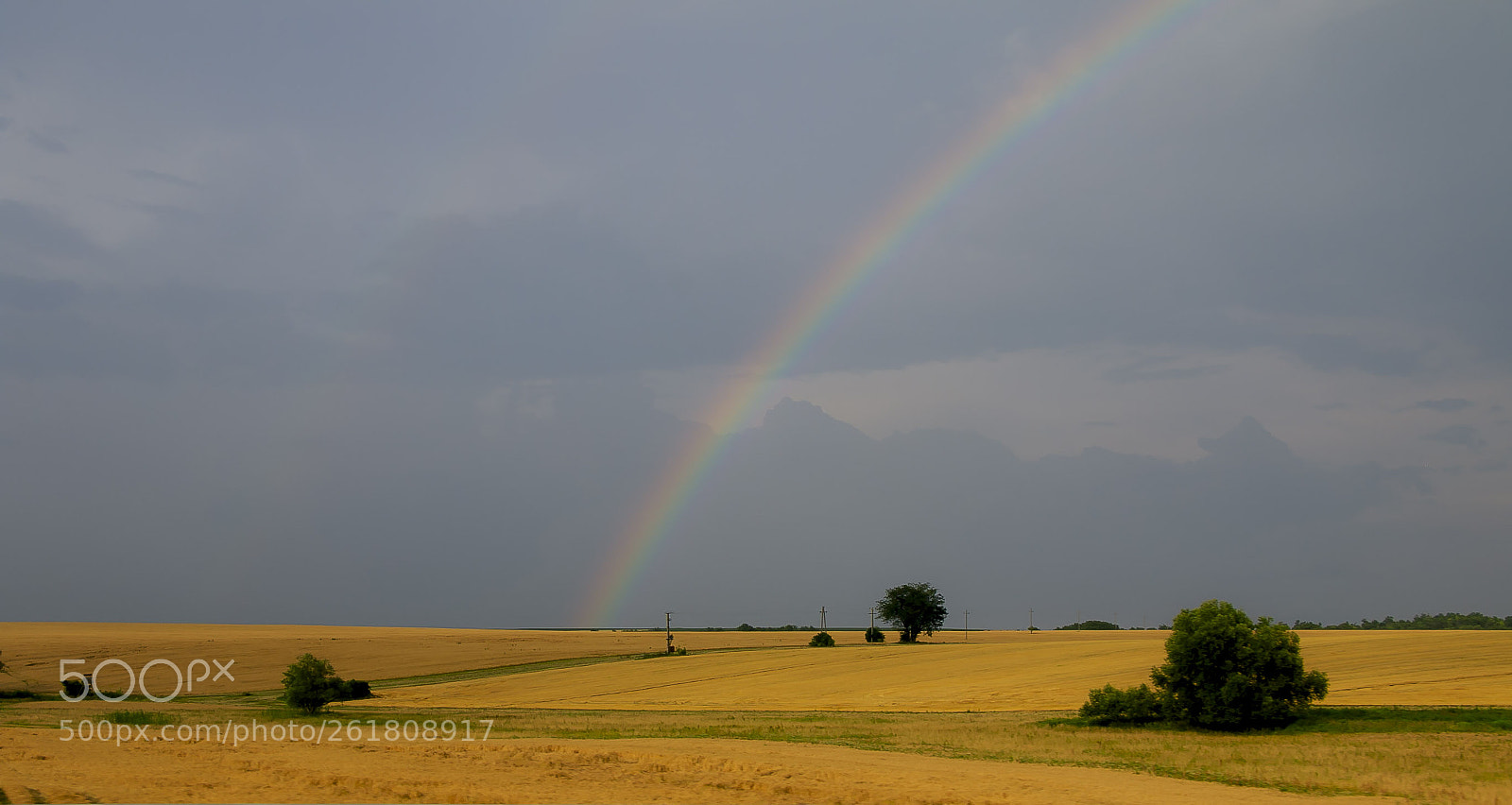 Canon EOS 7D Mark II sample photo. Rainbow photography