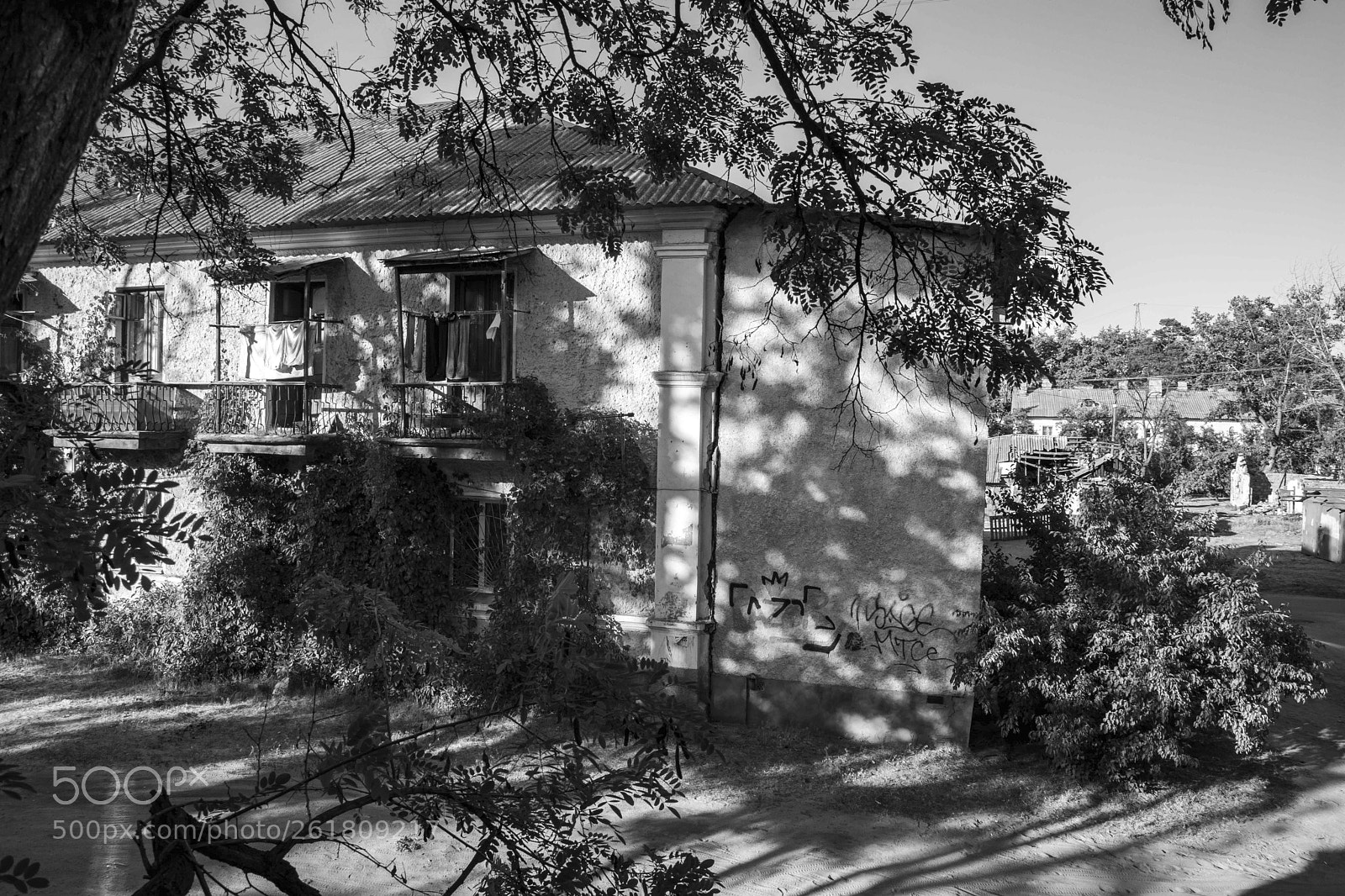 Nikon D7100 sample photo. 000101 photography