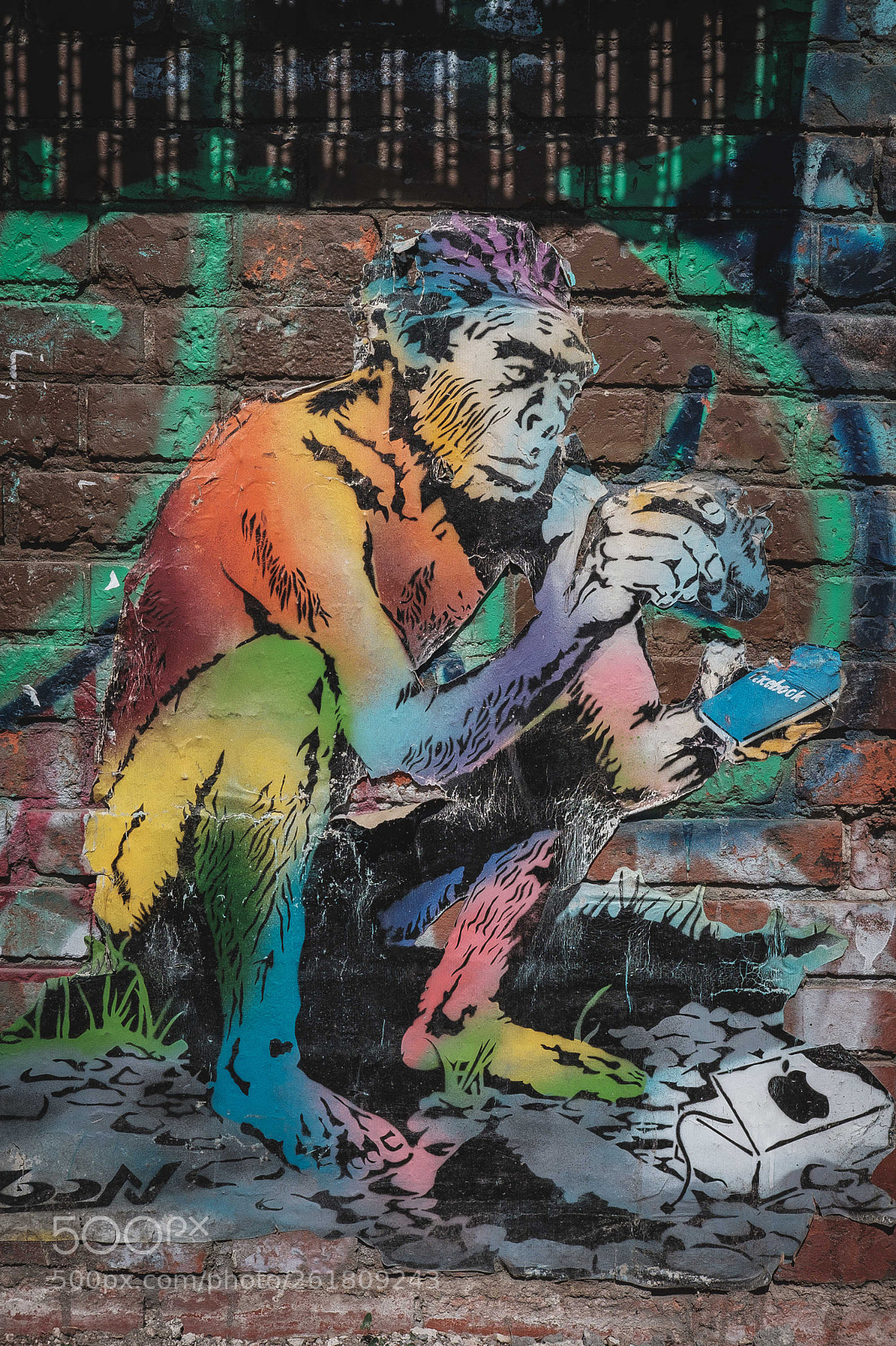 Fujifilm X-T20 sample photo. Planet of the apes photography
