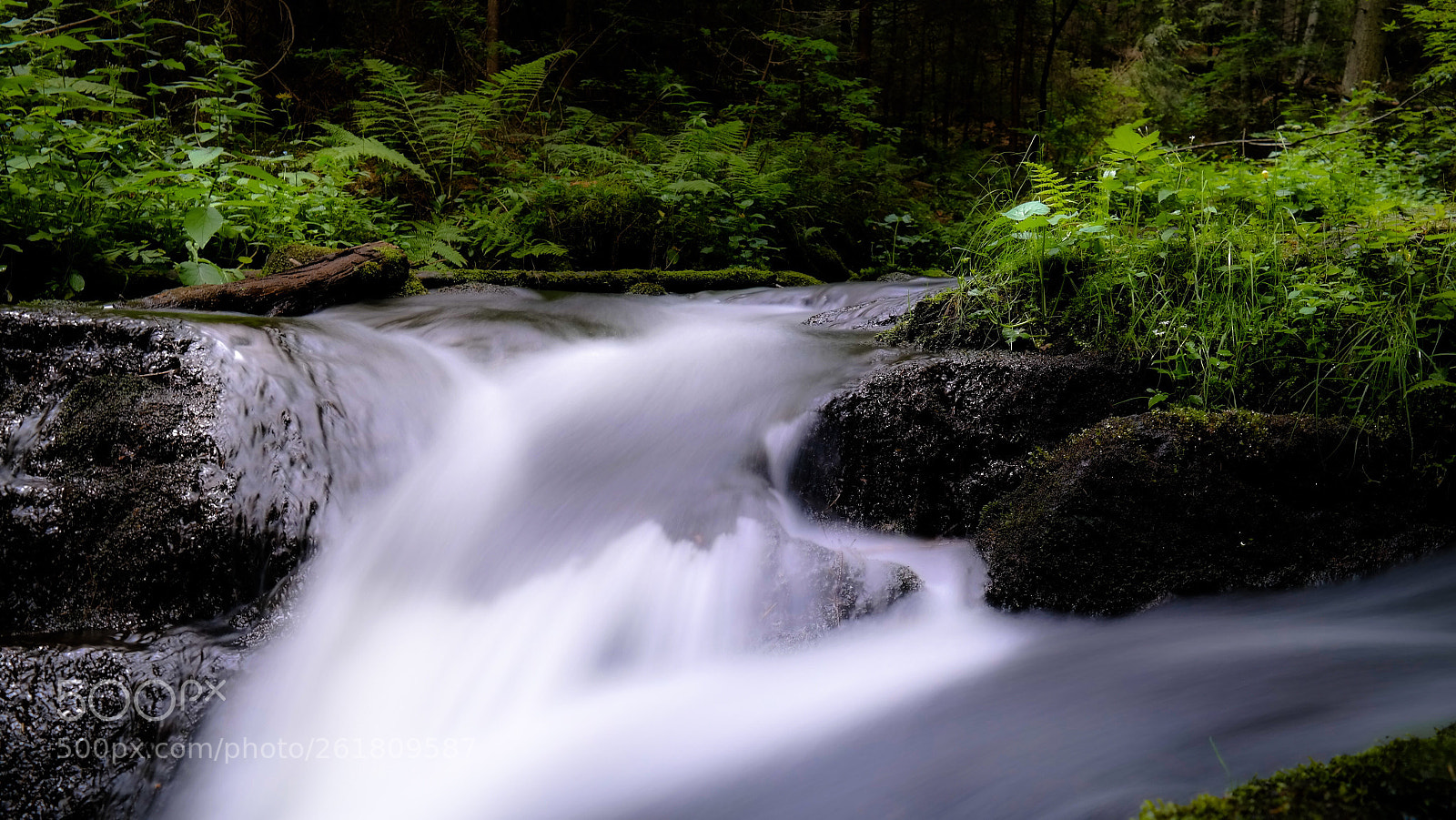 Samsung NX300 sample photo. Pure nature photography